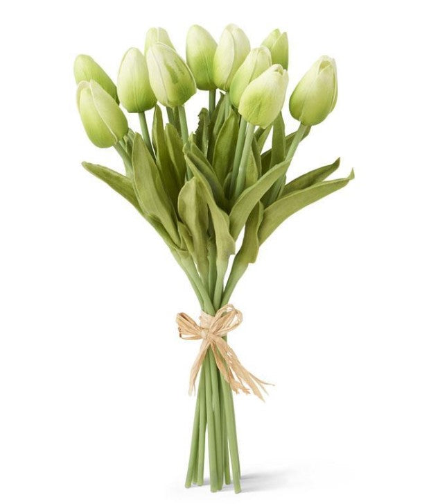12 Stem Tulip Bundle (Green)