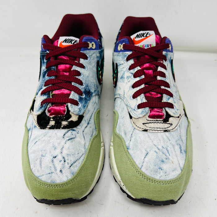 Nike Air Max 1 SP Concepts Mellow