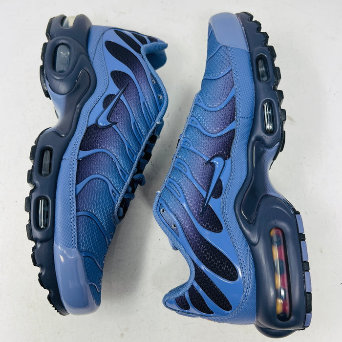 Nike Air Max Plus World Indigo