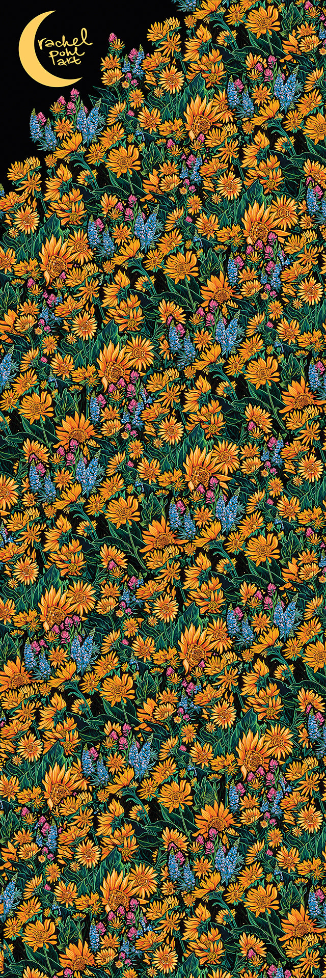 Arrowleaf Balsamroot by Rachel Pohl