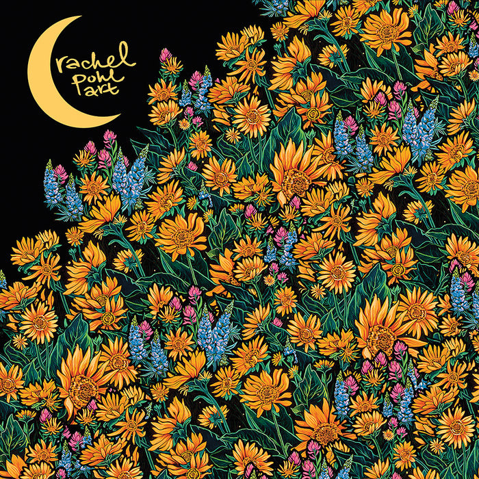 Arrowleaf Balsamroot by Rachel Pohl