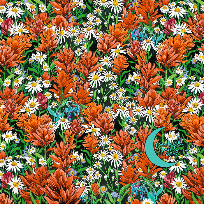 Autumn Paintbrush by Rachel Pohl
