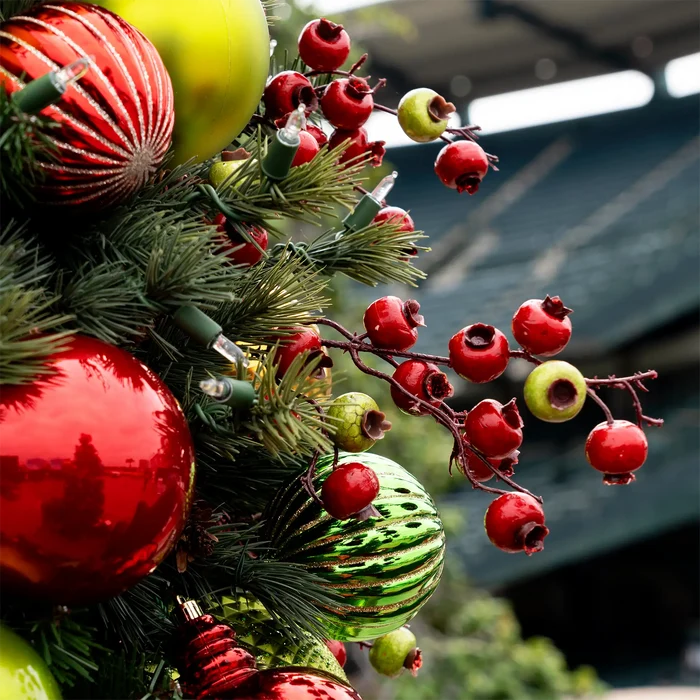 Burgundy and green berry garland with clustered glossy berries on branching stems, on a christmas tree