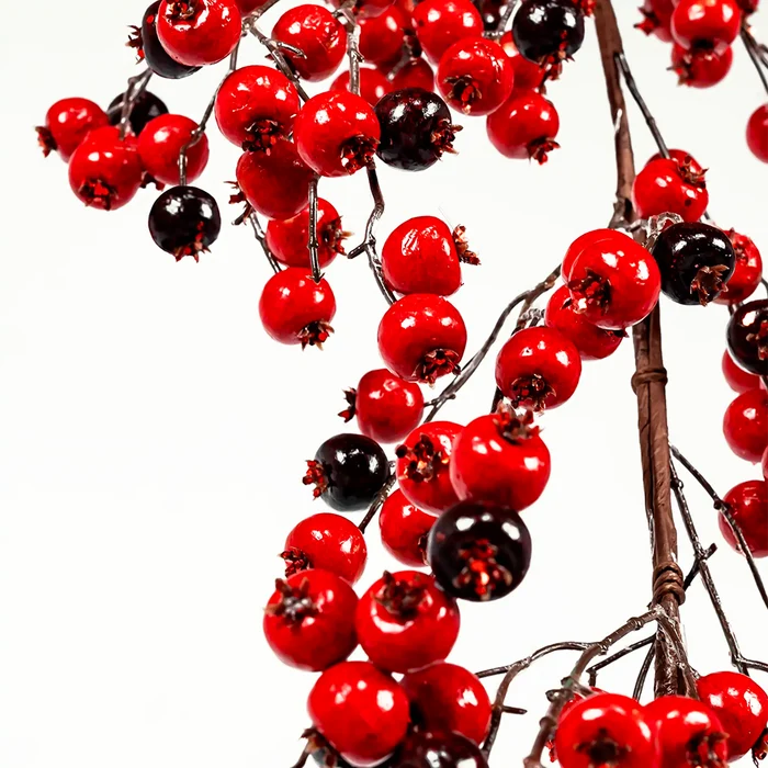 Burgundy and red berry garland with clustered glossy berries on branching stems, shown on a transparent background.