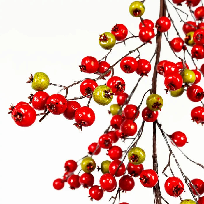 Green and red berry garland with clustered glossy berries on branching stems, shown on a transparent background.