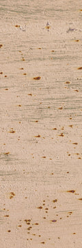 Birch Bark