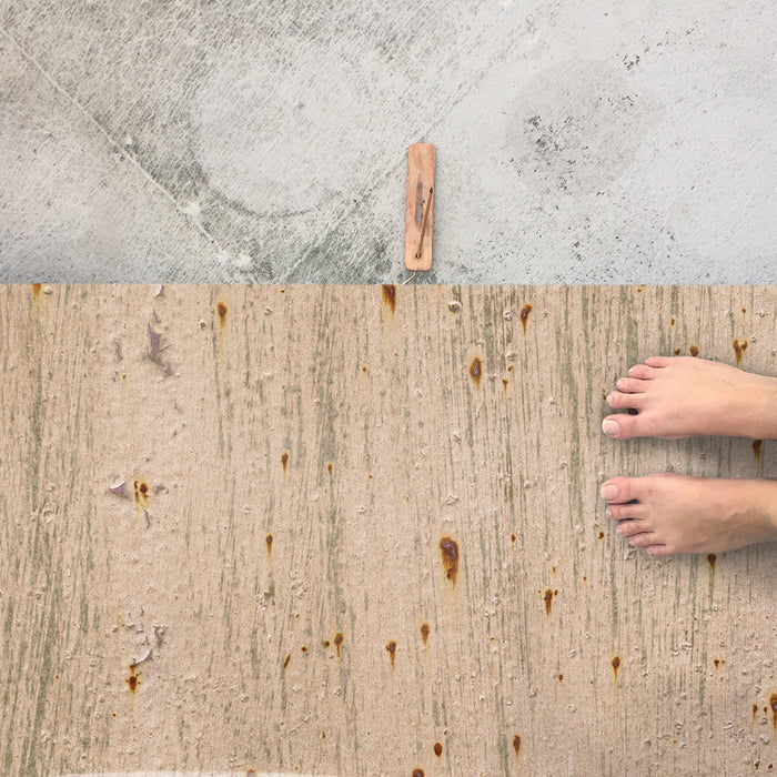 Birch Bark