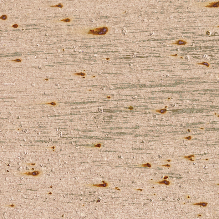 Birch Bark