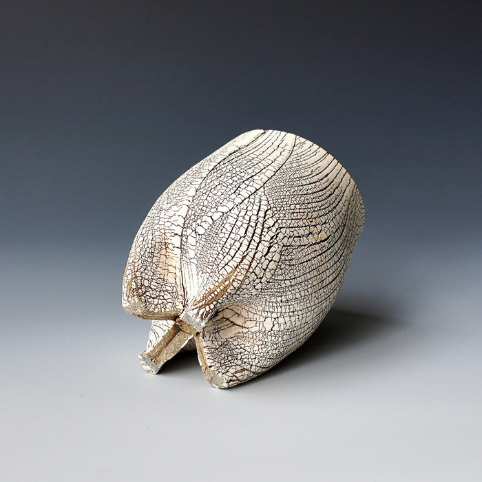 Cup / yunomi