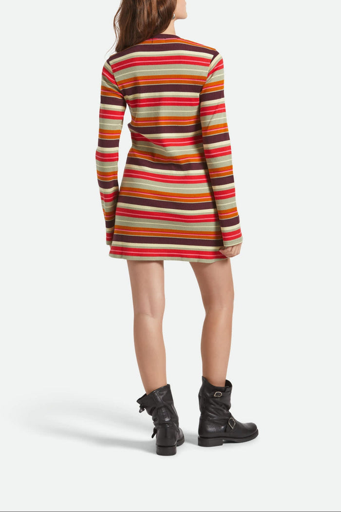 Women's Dolly L/S Knit Dress in the color Multi Stripe - Women's Back View