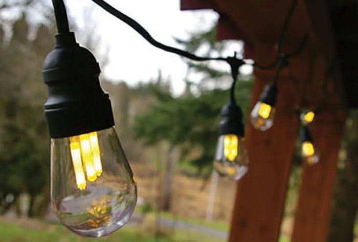 Dekra-Lite Festival Lighting with 3" Edison Bulbs