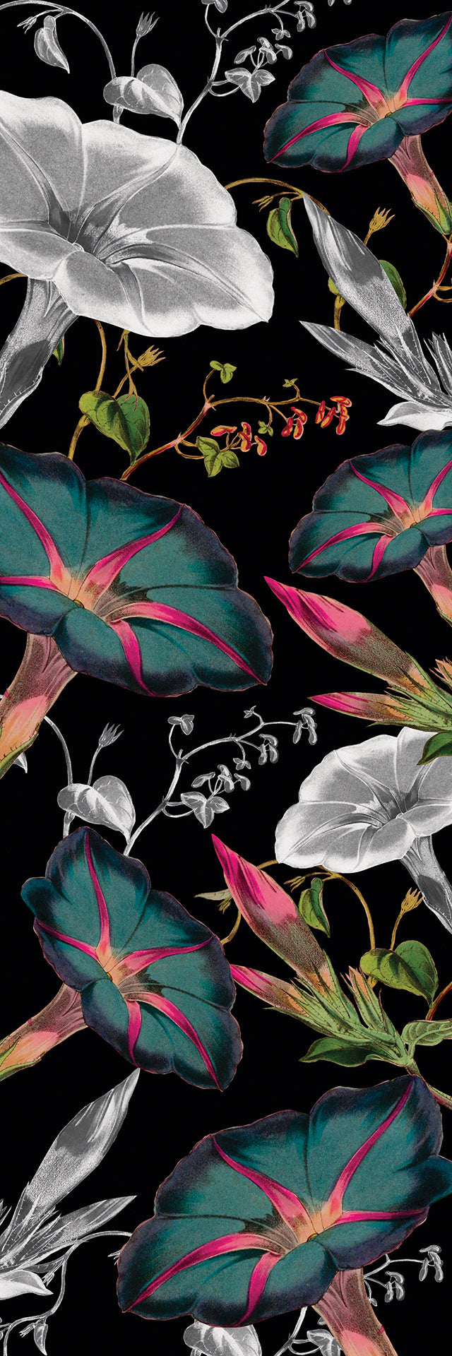 Flowers of the Middle Summer