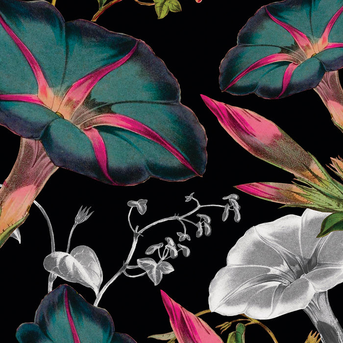 Flowers of the Middle Summer