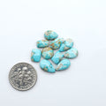 Fox Turquoise cabochons, polished gemstones with natural matrix on a white background, with a US dime for scale