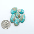 Fox Turquoise cabochons, polished gemstones with natural matrix on a white background, with a US dime for scale