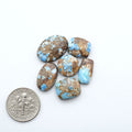 Turquoise stones with brown and blue patterns on a white background, next to a U.S. dime for scale.