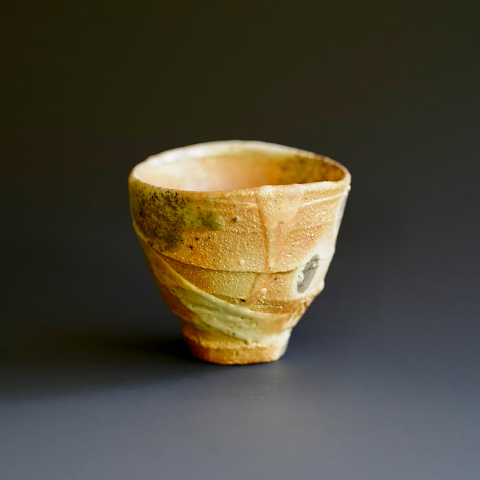 Guinomi (sake cup)