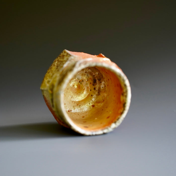 Guinomi (sake cup)
