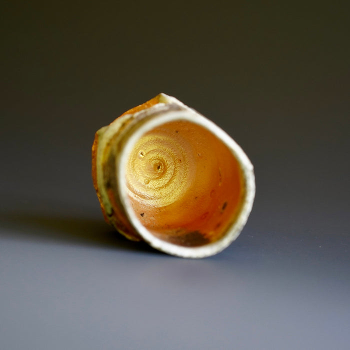 Guinomi (sake cup)
