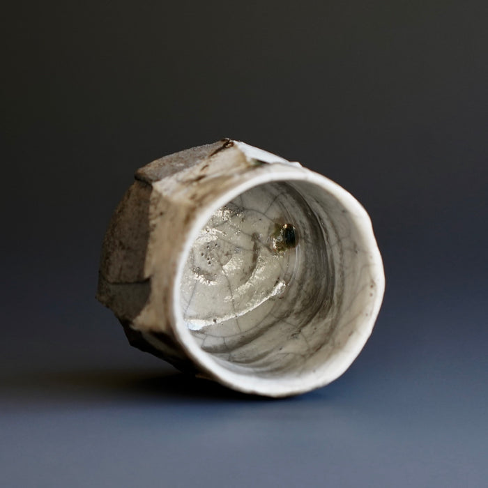 Guinomi (sake cup)