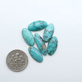 Hubei Cloud Mountain Turquoise cabochons, blue and green color with black matrix, polished stones on a white background with a US dime for scale