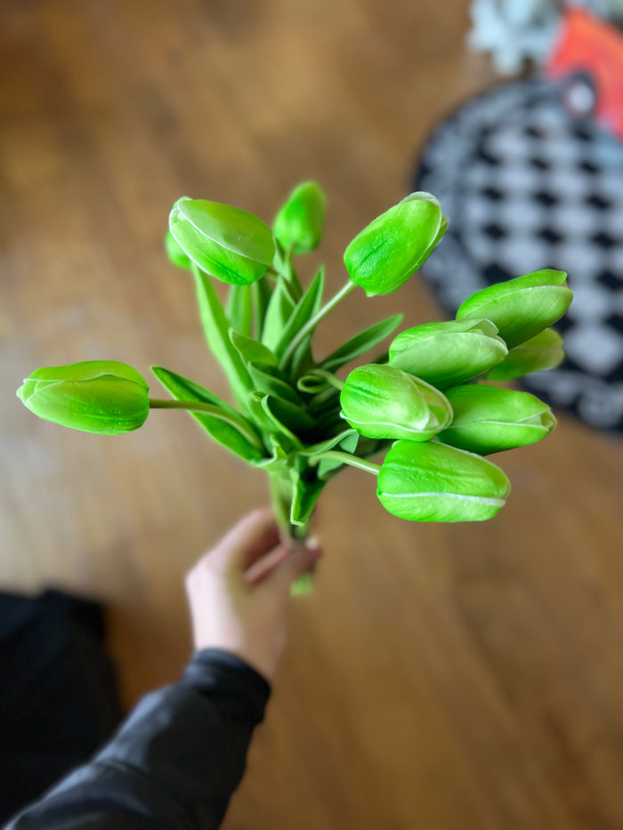 12 Stem Tulip Bundle (Green)