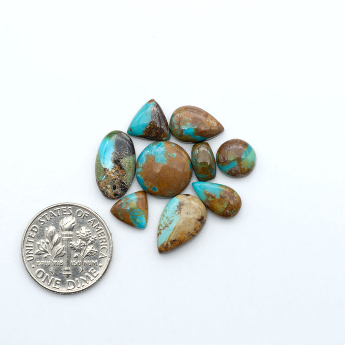 Kings Manassa Turquoise cabochons, polished green-blue gemstones with natural matrix on a white background with a US dime for scale