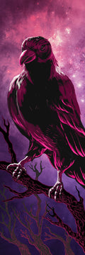 Raven Galaxy
