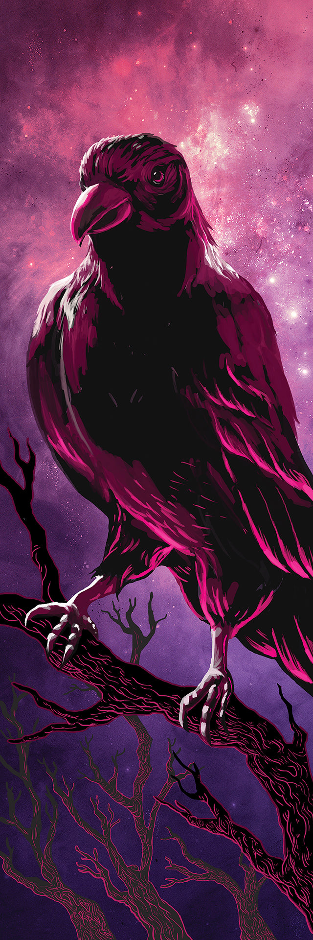 Raven Galaxy