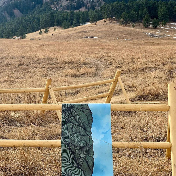 Rocky Mountain National Park by Remy Joy
