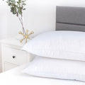 Santa Barbara 289TC White Goose Down Pillow - Mattress Miracle Brantford