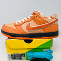Nike SB Dunk Low Concepts Orange Lobster