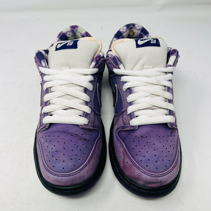 Nike SB Dunk Low Concepts Purple Lobster