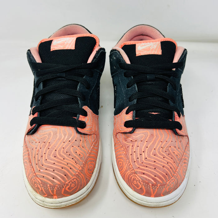 Nike SB Dunk Low Premier Fish Ladder