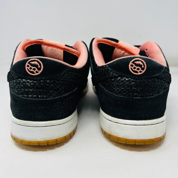 Nike SB Dunk Low Premier Fish Ladder
