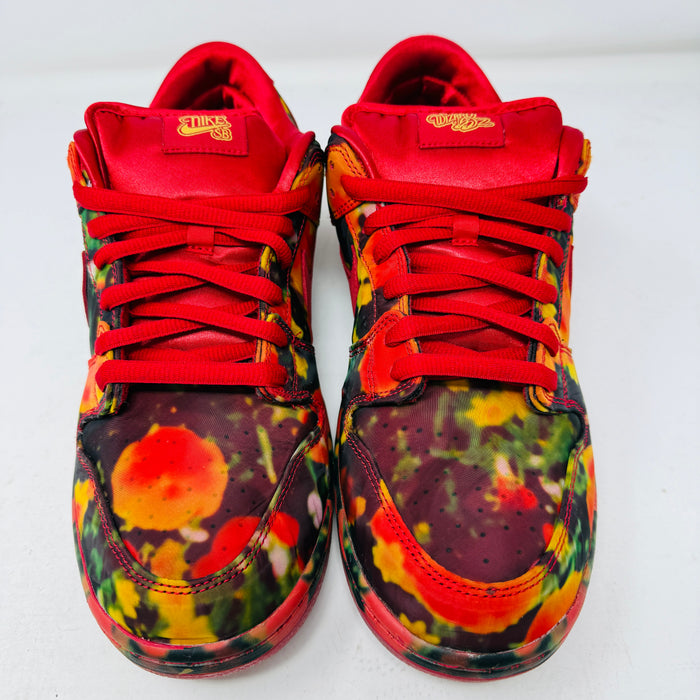 Nike SB Dunk Low The Wizard of Oz Poppy Field
