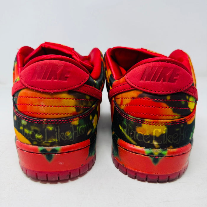 Nike SB Dunk Low The Wizard of Oz Poppy Field