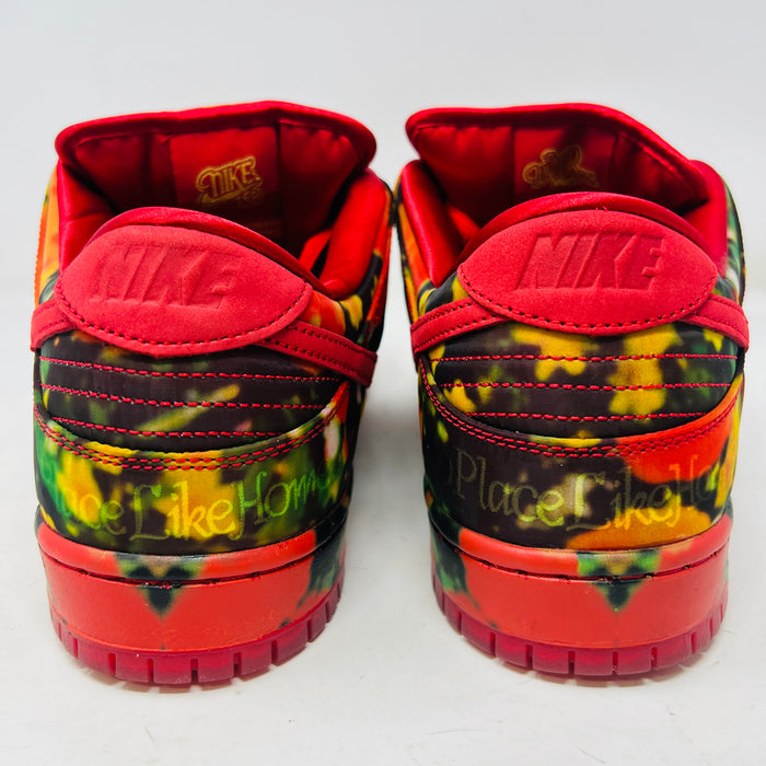 Nike SB Dunk Low The Wizard of Oz Poppy Field