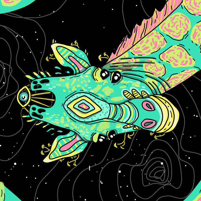 Space Giraffe by Lyn Sweet