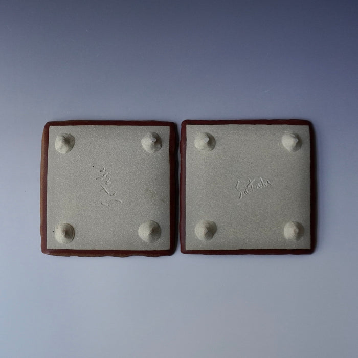 Square Plate Set