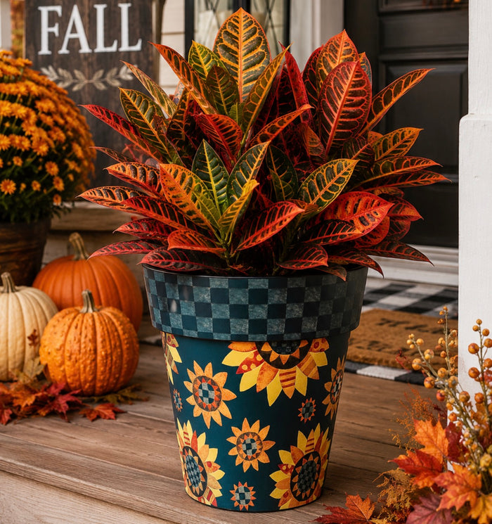 Sunflower Outdoor Pot with Gray and Black Check Border  15” pot