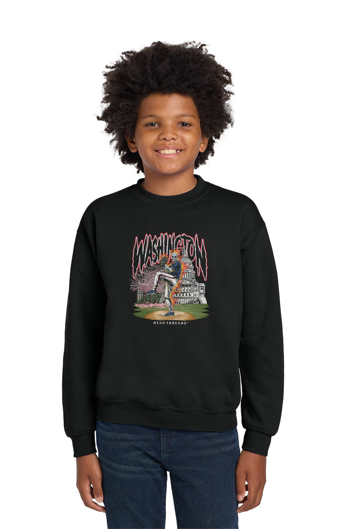 WASHINGTON BASEBALL KIDS CREWNECK SWEATSHIRT – Kids clothes – Dead Threads Apparel
