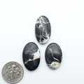 Three oval black and white marbled stones with a quarter for scale on a white background Natural White Buffalo Stone Cabochons are semi-precious gemstones cut into shapes ideal for jewelry-making, making them an excellent choice for artisans.