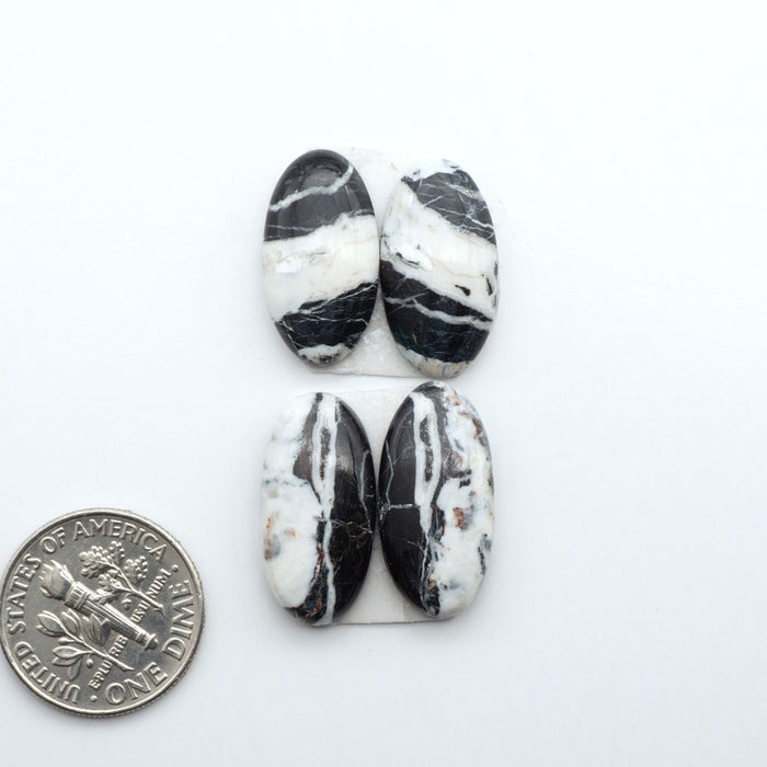 White Buffalo stone cabochons, white stone with black matrix, polished stones on a white background, with a US dime for scale