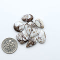 Wild Horse Magnesite cabochons, white gemstones with brown matrix on a white background, with a US dime for scale