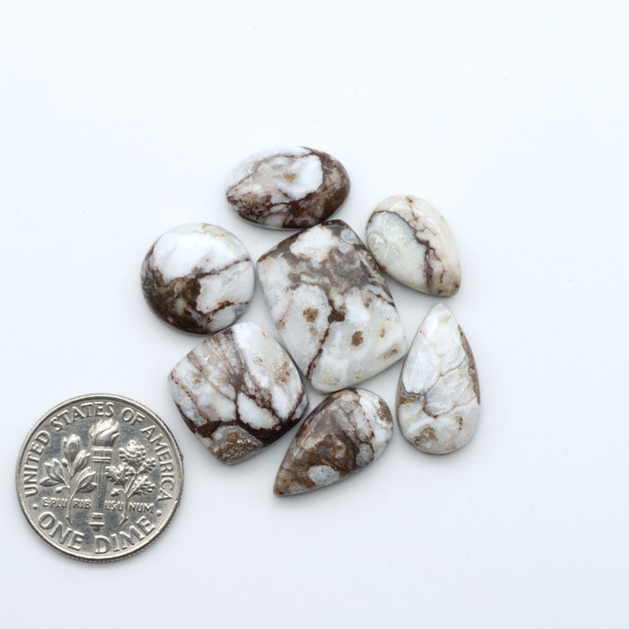 Wild Horse Magnesite cabochons, white gemstones with brown matrix on a white background, with a US dime for scale