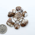 Wild Horse Magnesite cabochons, white gemstones with brown matrix on a white background, with a US dime for scale